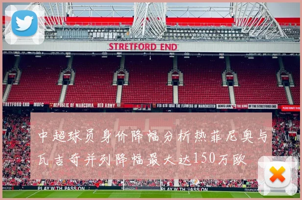 中超球员身价降幅分析热菲尼奥与瓦吉奇并列降幅最大达150万欧